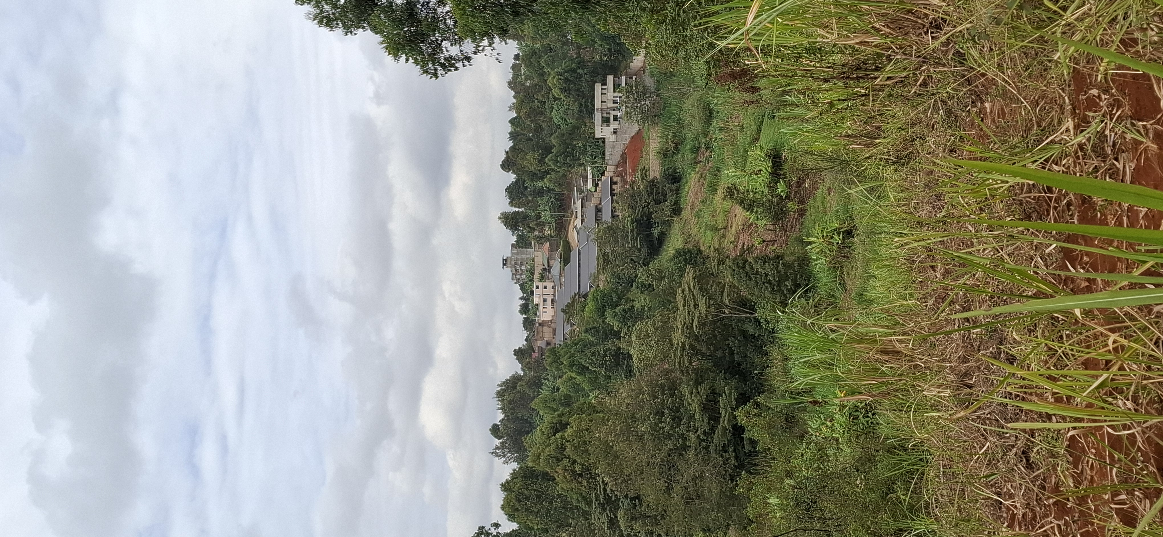 Kagongo, Ndundu 1 Acre