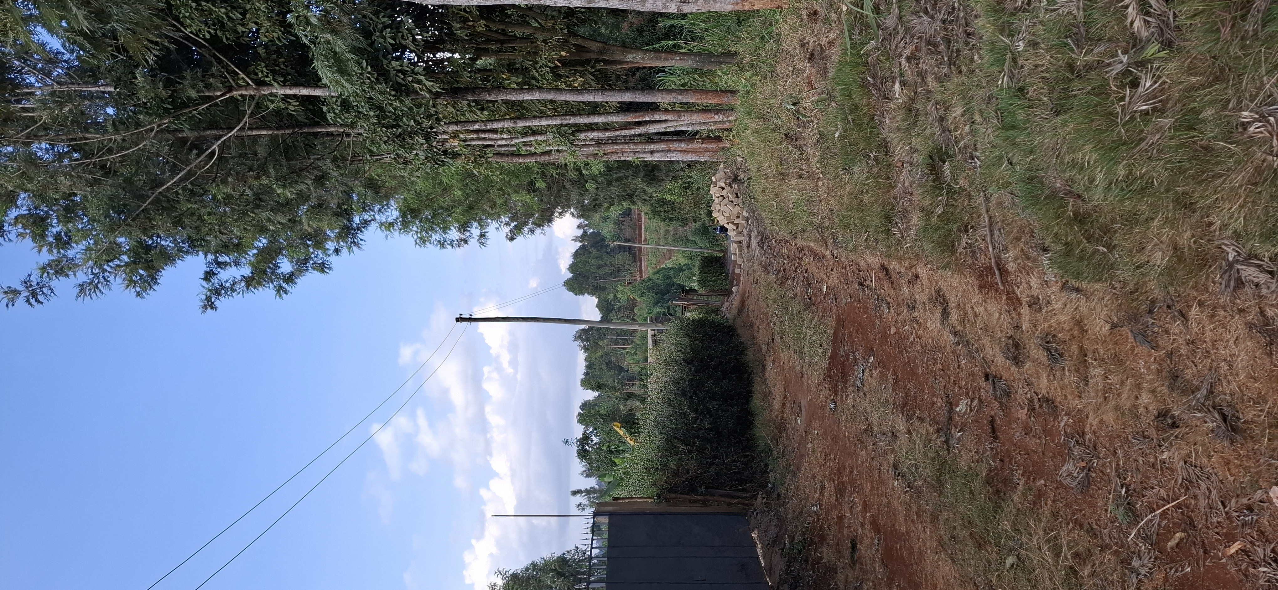 Kagongo, Ndundu 50x100