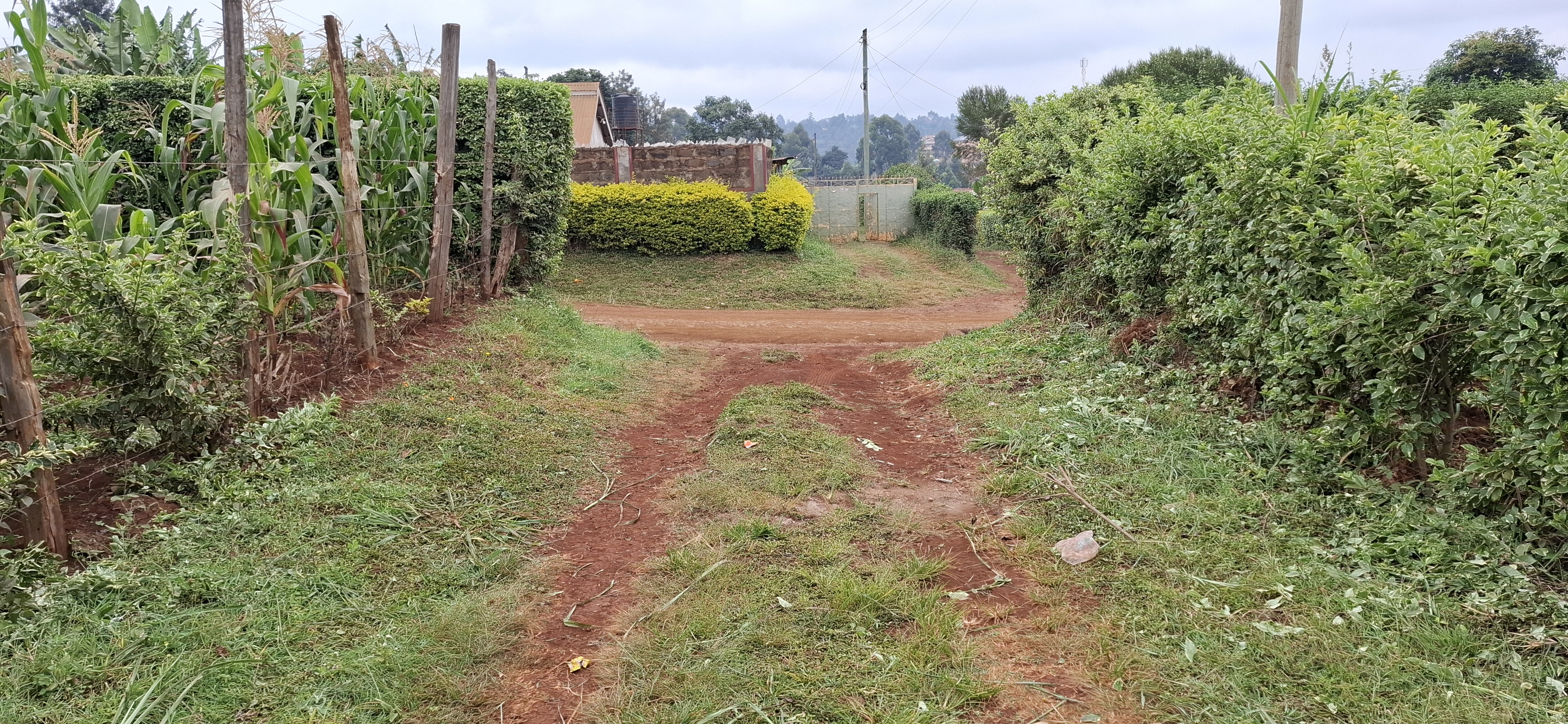 Karura, Ndumaini 110x100