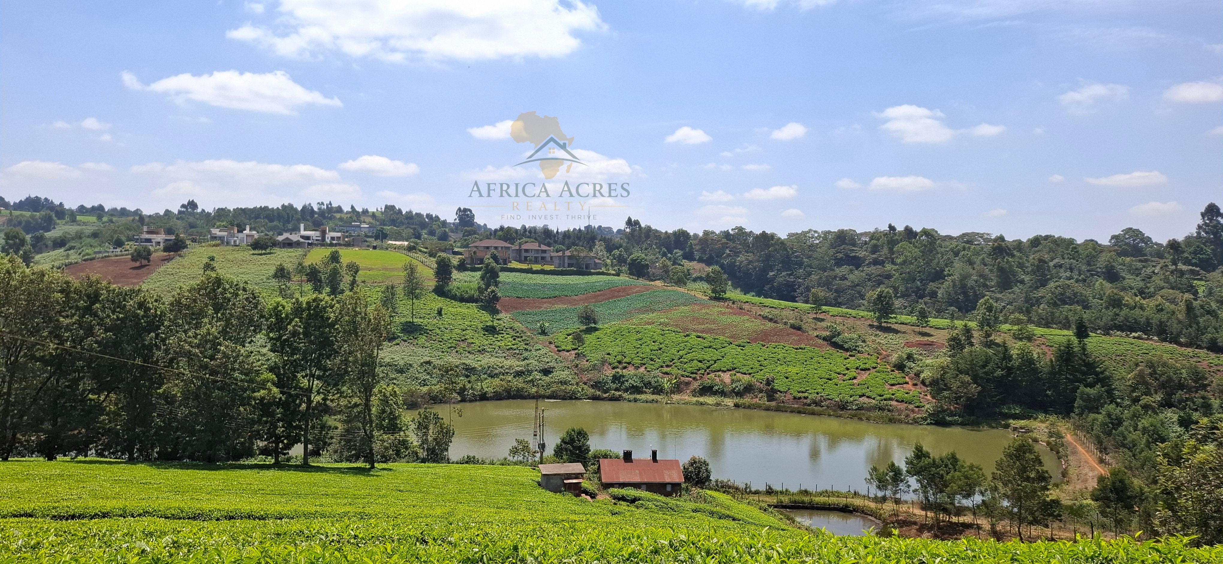 Tigoni 1/2 Acre
