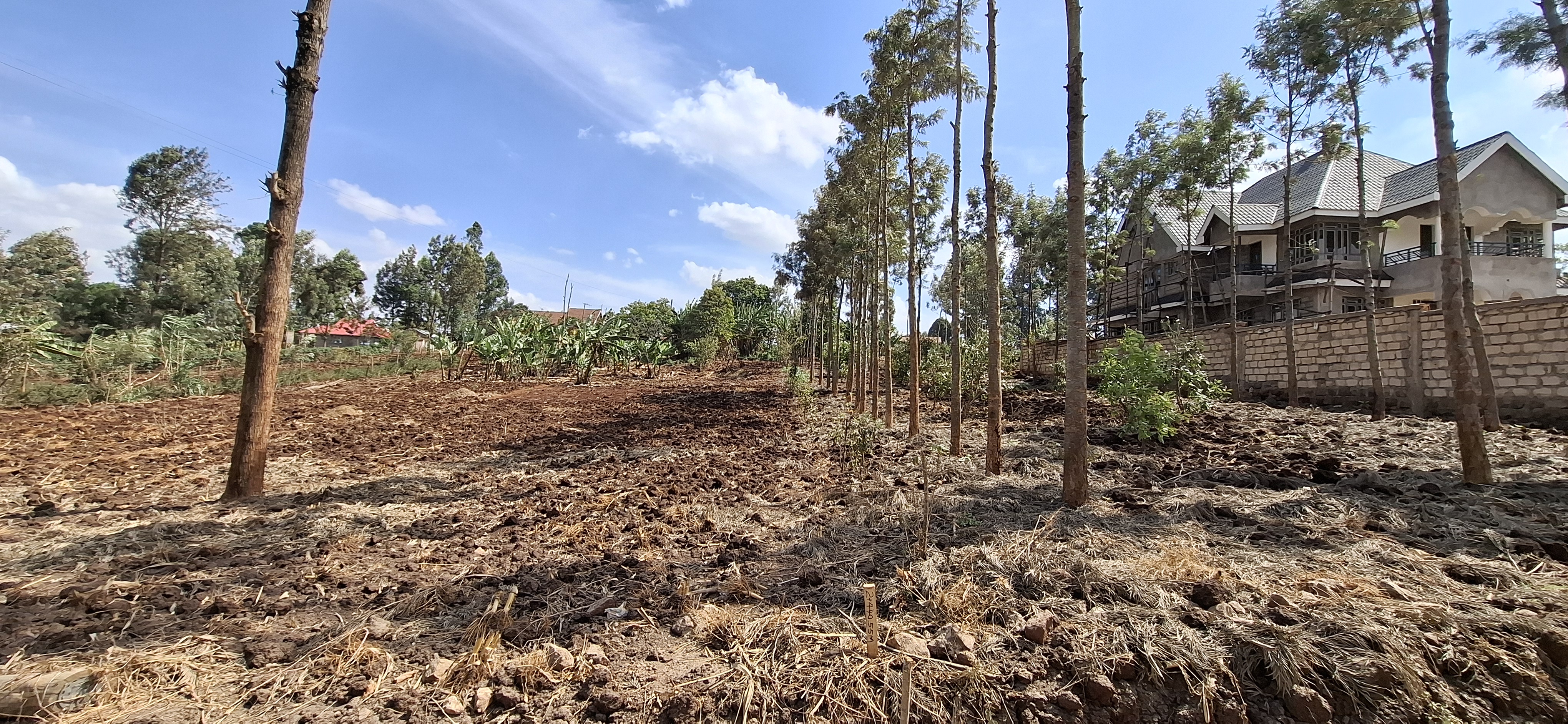 Kagongo 1/2 Acre