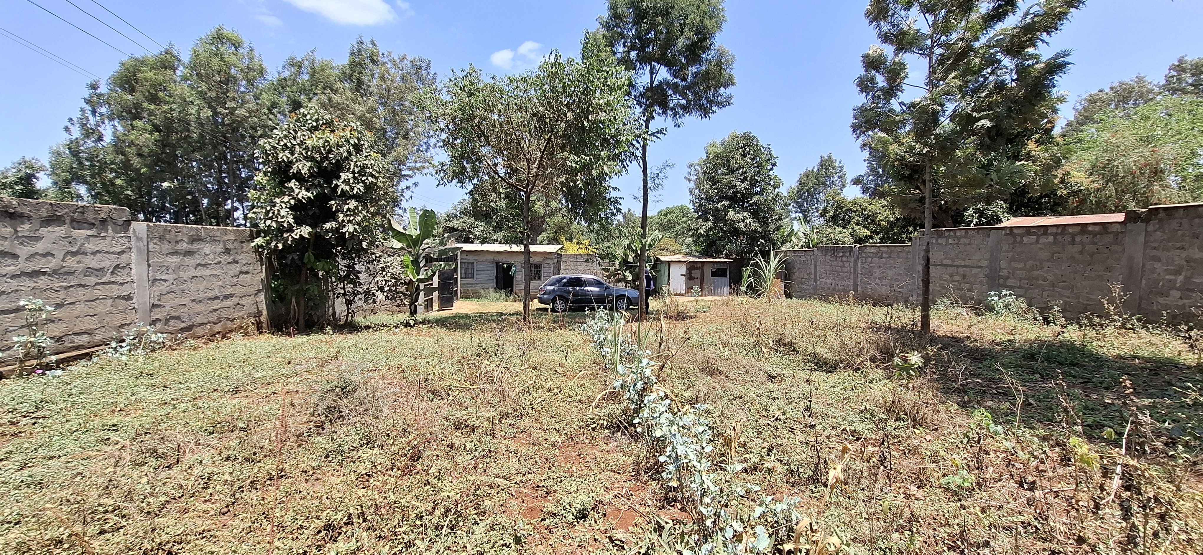 Kagongo 90x100