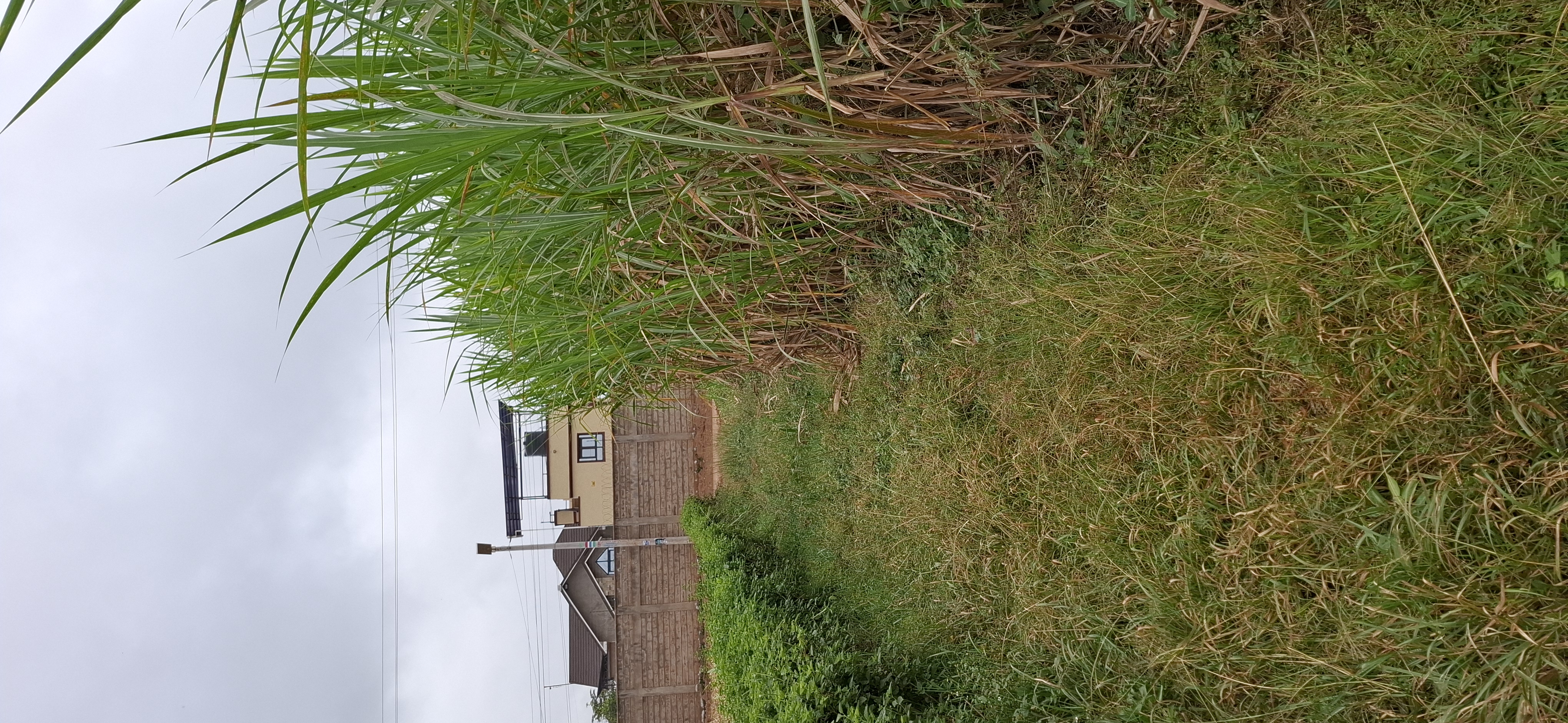 Kagongo 1/2 Acre