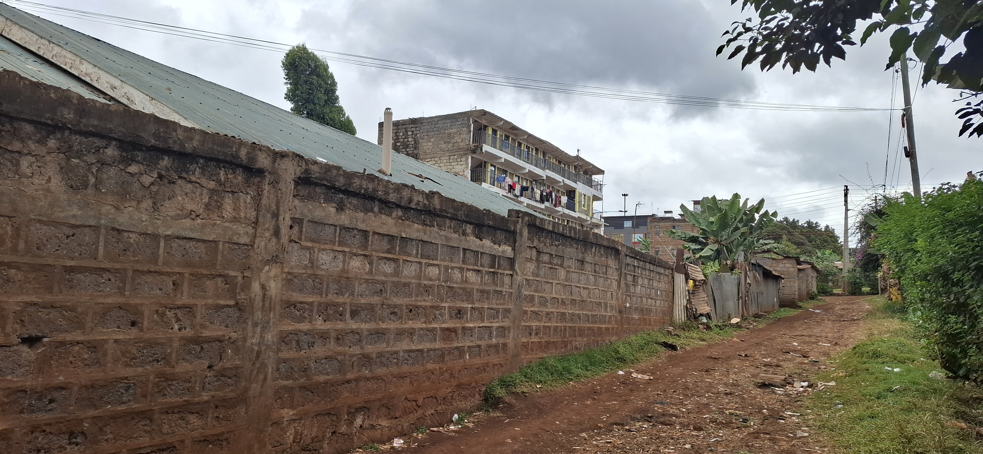 Gachie 50x100