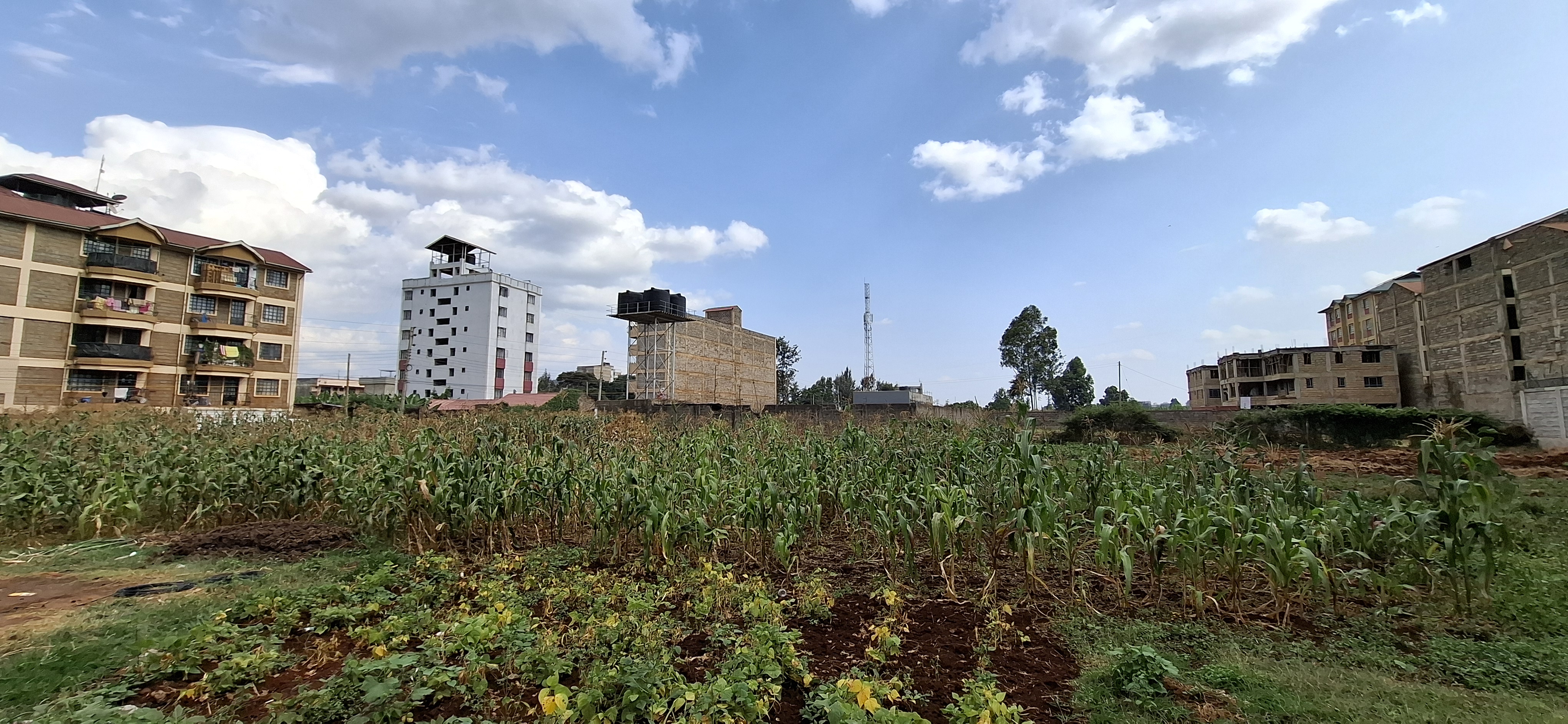 Kigwaru, Muchatha 3/4 Acre